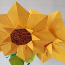 20191016_151659 20191016_151659