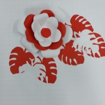 20191016_174459 20191016_174459