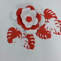 20191016_174524 20191016_174524