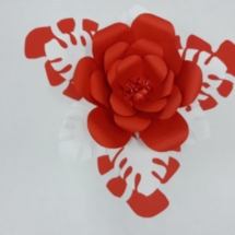 20191016_174529 20191016_174529
