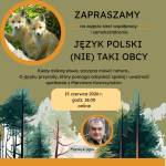 Kiedy milkną słowa, zaczyna mówić natura… O języku przyrody, który pomaga odzyskać spokój i uważność