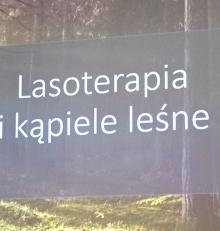 „Kąpiel leśna” – Dni uczenia się dorosłych