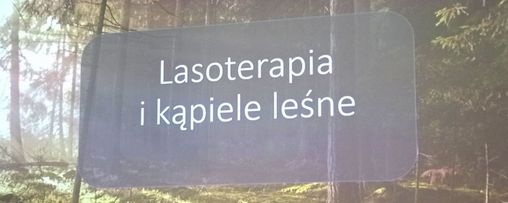 „Kąpiel leśna” – Dni uczenia się dorosłych