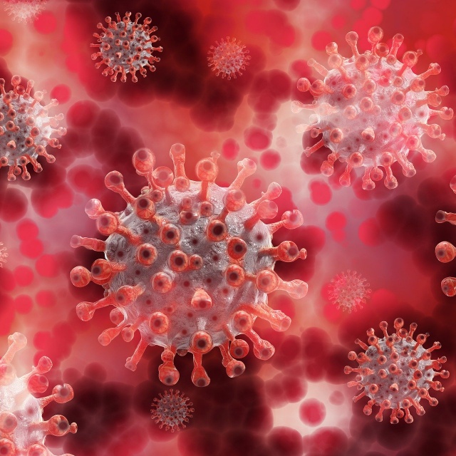 Procedura zapewnienia bezpieczeństwa w Centrum w czasie trwania epidemii COVID-19