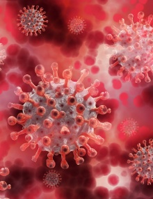 Procedura zapewnienia bezpieczeństwa w Centrum w czasie trwania epidemii COVID-19