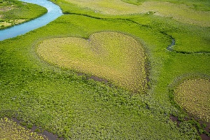 heart-7902540_1280